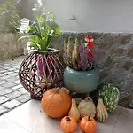 Sowianka Ludwikowice Klodzkie