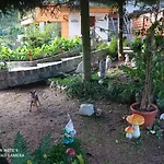 Sowianka Апартаменты *