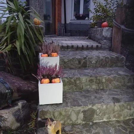 Apartament Sowianka *