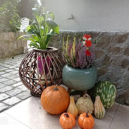 Sowianka Ludwikowice Kłodzkie