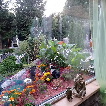 Apartament Sowianka *