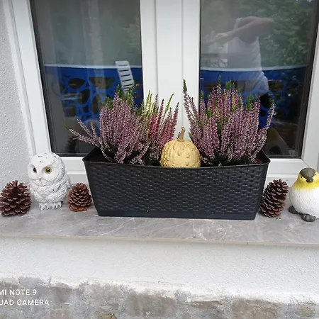 Sowianka Apartament *