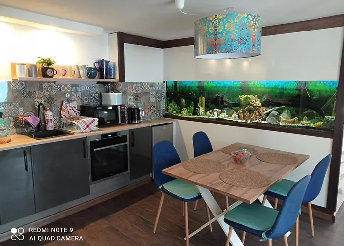 Sowianka Ludwikowice Kłodzkie