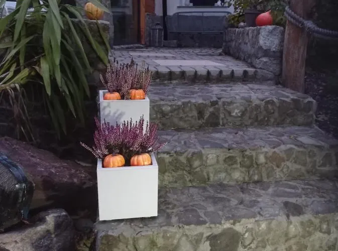 Apartment Sowianka *