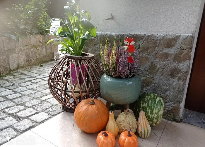 Sowianka Ludwikowice Kłodzkie