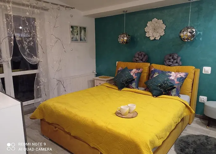 Sowianka Ludwikowice Kłodzkie