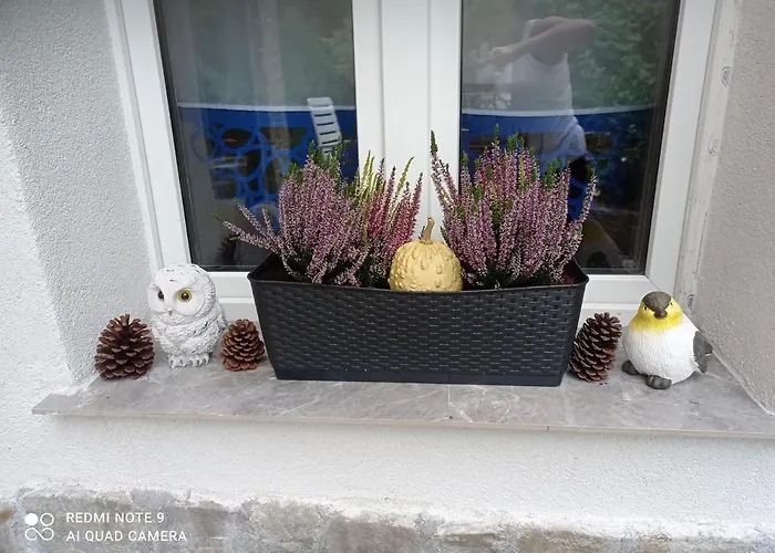 Sowianka Apartment *